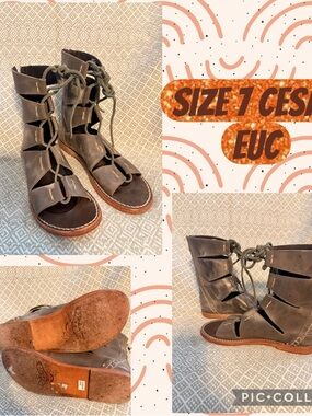 freebird stone Gray Cesar Lace-Up Gladiator Boots